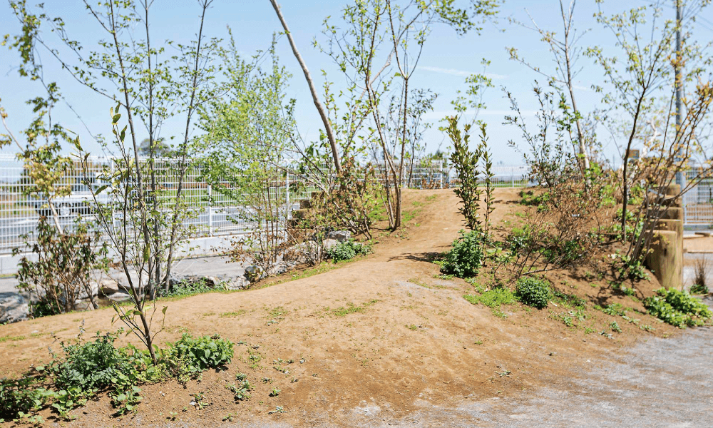 アソビオ|阿見町認可保育園「ゆめふるつなぐ保育園」